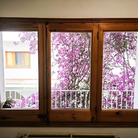El Penell Apartament Llevant Vilamaniscle エクステリア 写真
