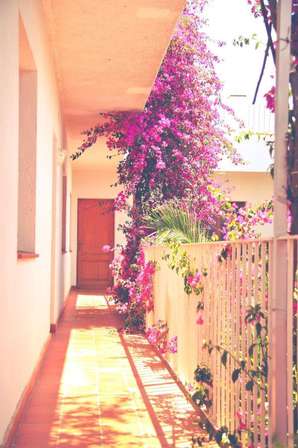 El Penell Apartament Llevant Vilamaniscle エクステリア 写真