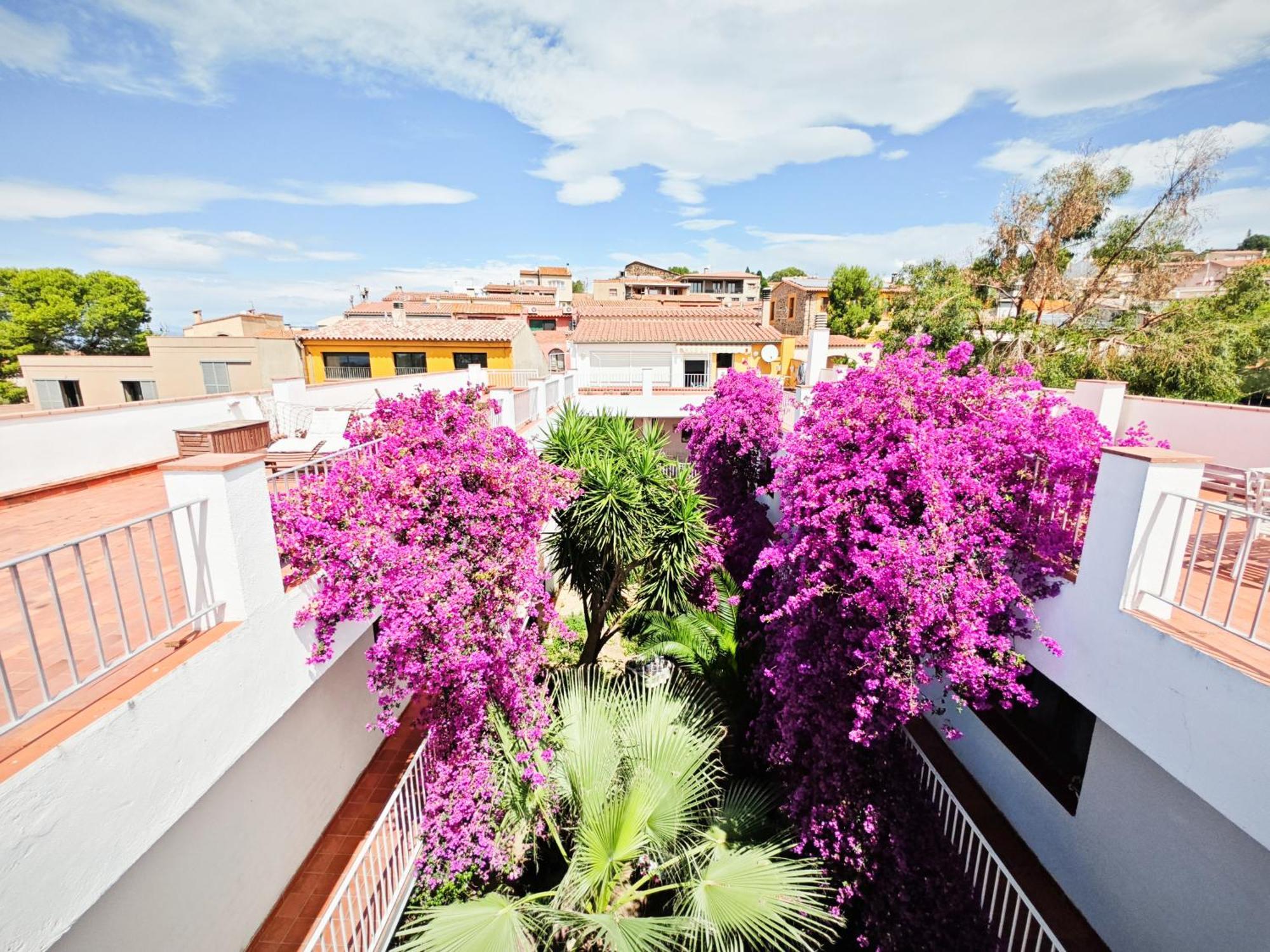 El Penell Apartament Llevant Vilamaniscle エクステリア 写真