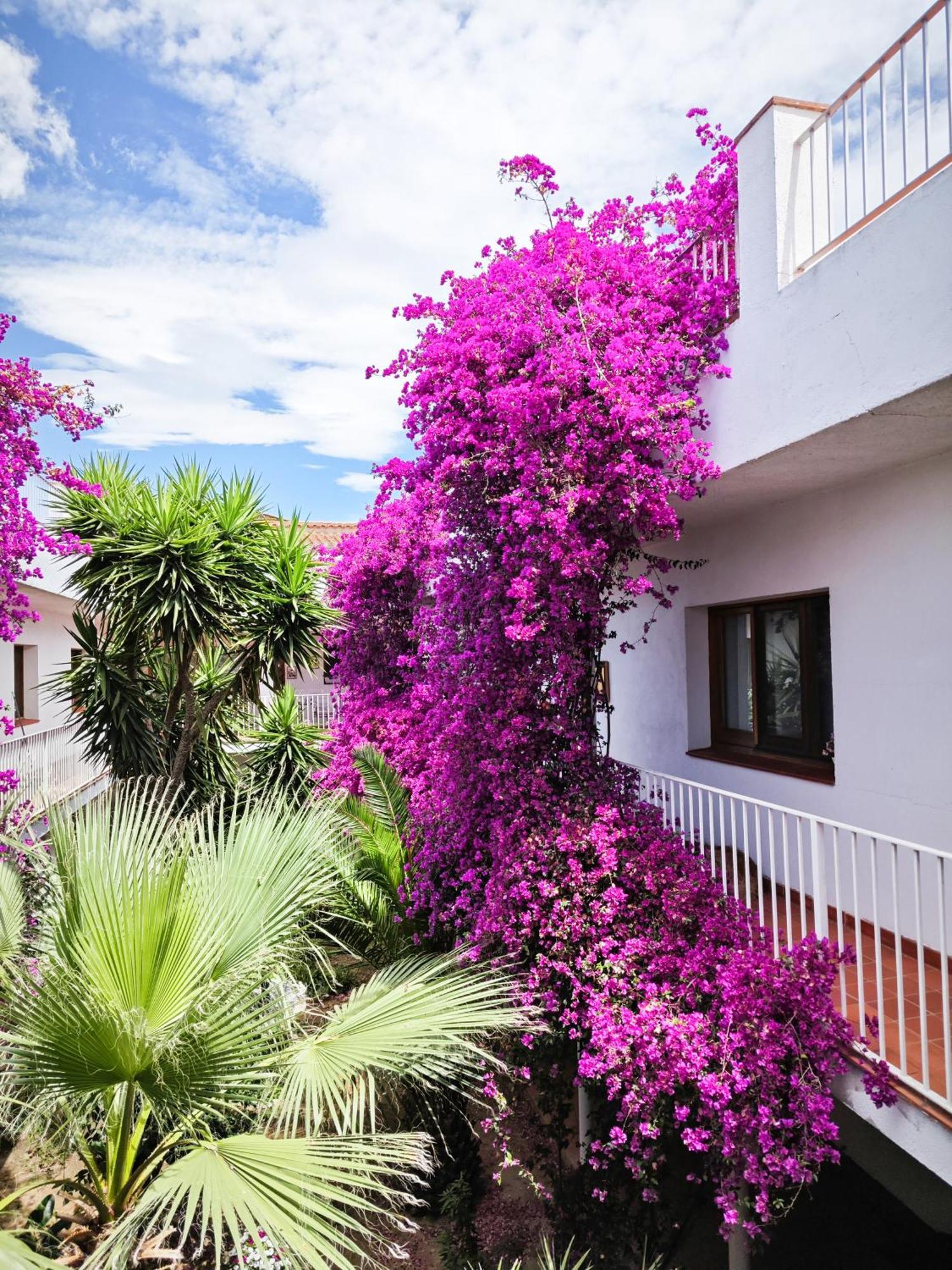 El Penell Apartament Llevant Vilamaniscle エクステリア 写真